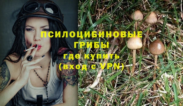 трава Верхнеуральск