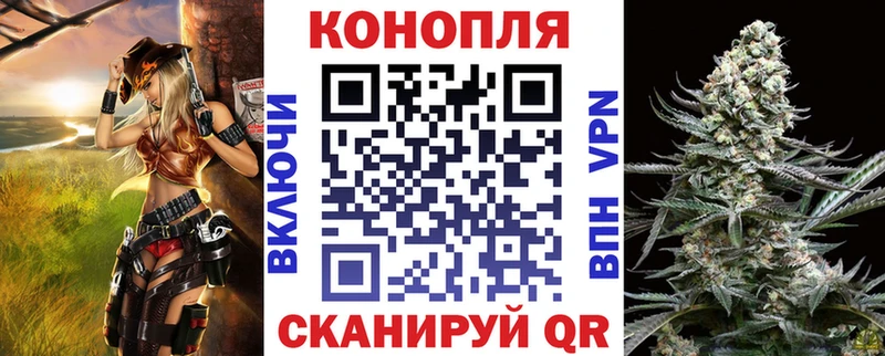 Шишки марихуана план  Дрезна 
